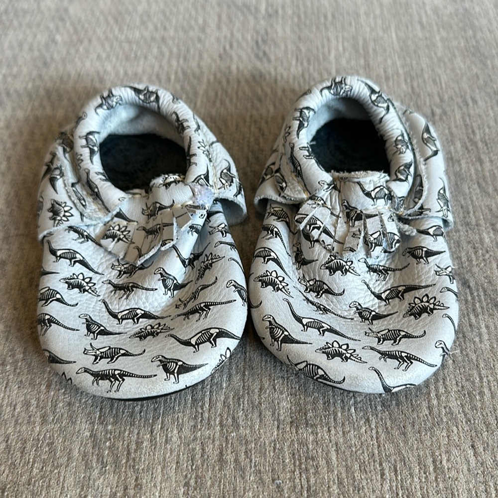 Freshly Picked Dinosaur shoes